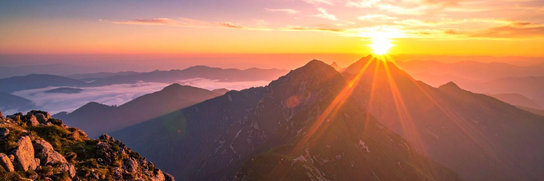 The Wedding Website of Melinda Cea and Joel Tallbut