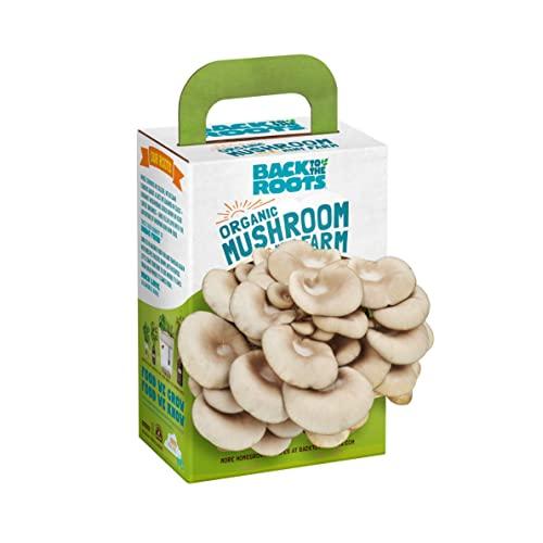 Back to the Roots Organic Mini Mushroom Grow Kit, Harvest Gourmet Oyster Mushrooms In 10 days, Top Gardening Gift, Holiday Gift, & Unique Gift