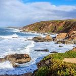 Bodega Bay