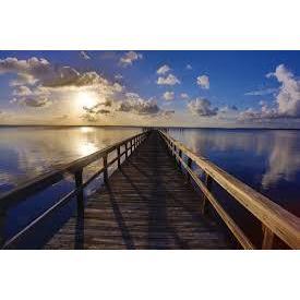 Dock on the property by the St. John's river!