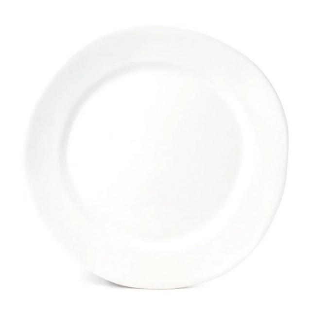 Organic Ceramic Dinner Plate set of 4