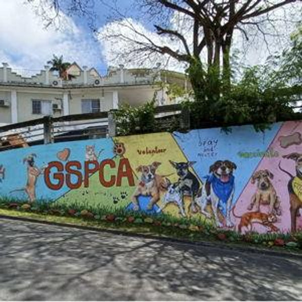 GSPCA: Grenada's Animal Welfare Charity