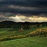 Three Sisters Vineyards & Winery
