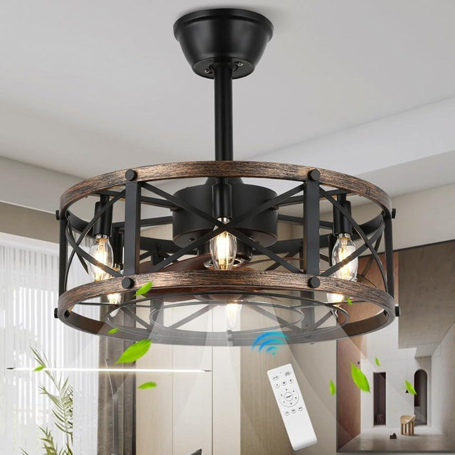 SHLUCE 19" Farmhouse Fandelier Ceiling Fan with Light, Caged Bladeless Ceiling Fans with Lights and Remote, Modern Small Enclosed Ceiling Fans with Lights for Living Room, Bedroom, Black
