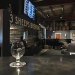 3 Sheeps Brewing Company