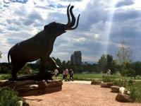 Denver Museum of Nature & Science