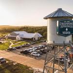 Dripping Springs Distilling - Small Batch Vodka - Savor It