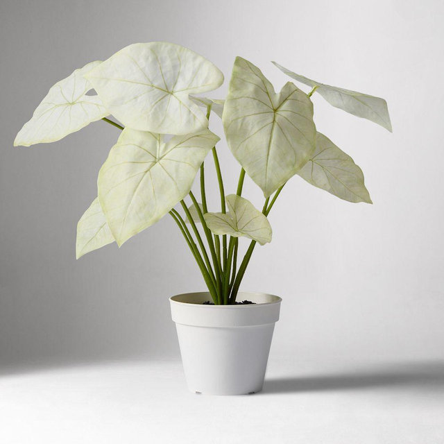 Faux Potted Dasheen Leaf Plant, Light Green