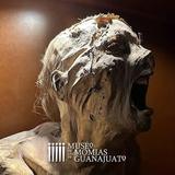 Museum of the Mummies of Guanajuato