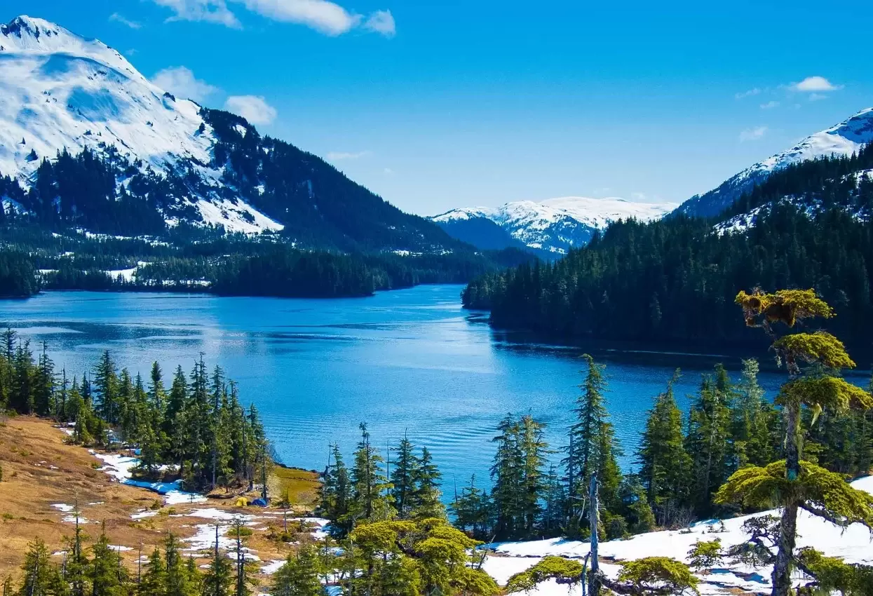 50b01dea-9cd0-4f51-af98-b031cd0dd110