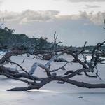 Boneyard Beach