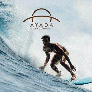 Surf Guide