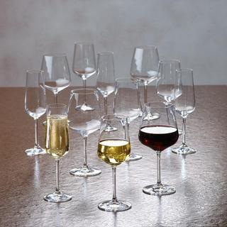Ovid 12-Piece Drinkware Set
