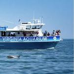 Virginia Aquarium Boat Tours