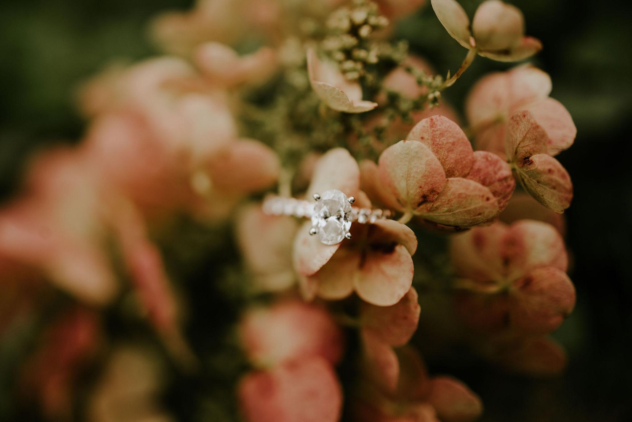 The Wedding Website of Madeline Pillow and Barrett White
