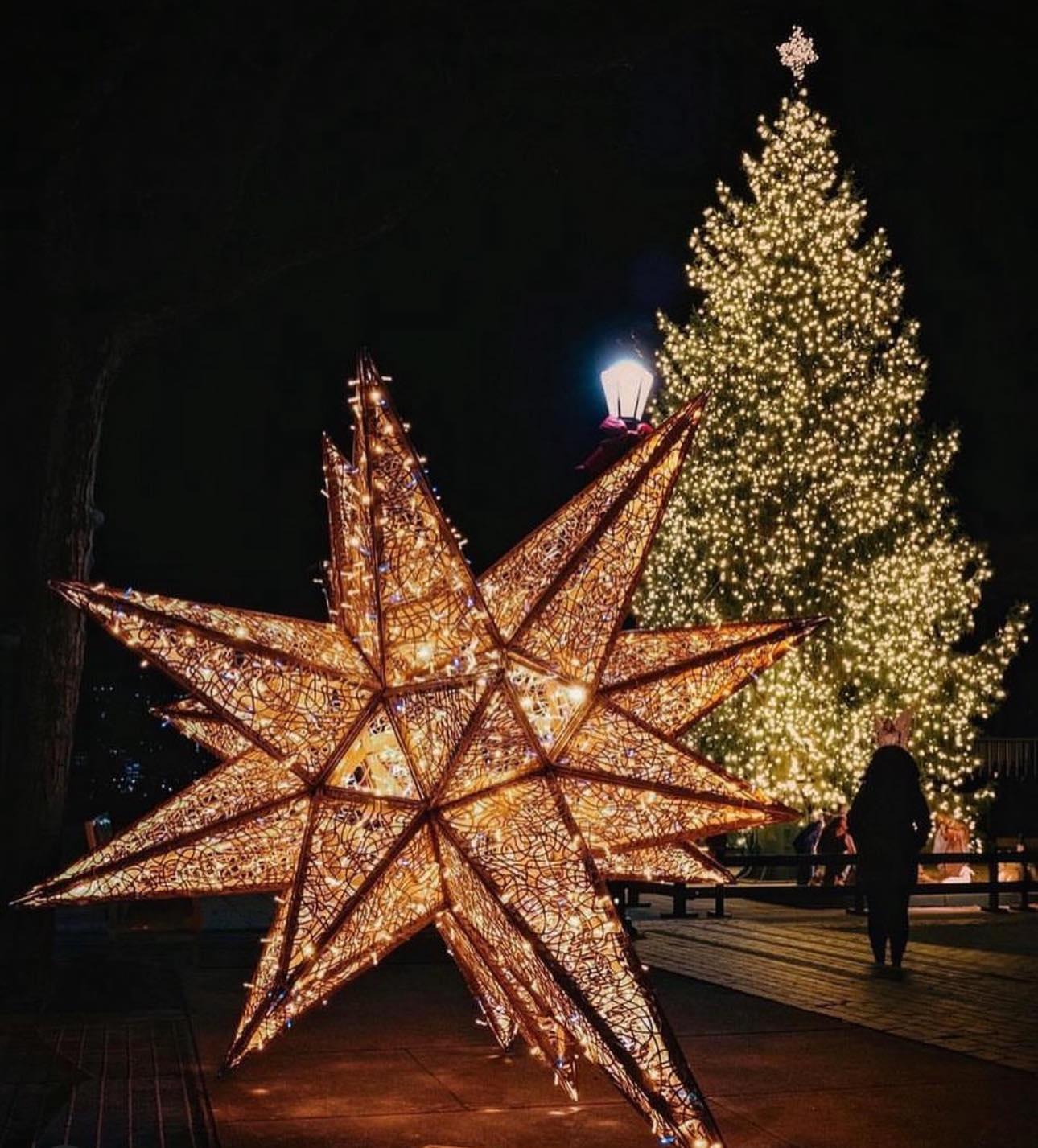 50b76acc-306a-47fd-8e48-5cf97f27fd38