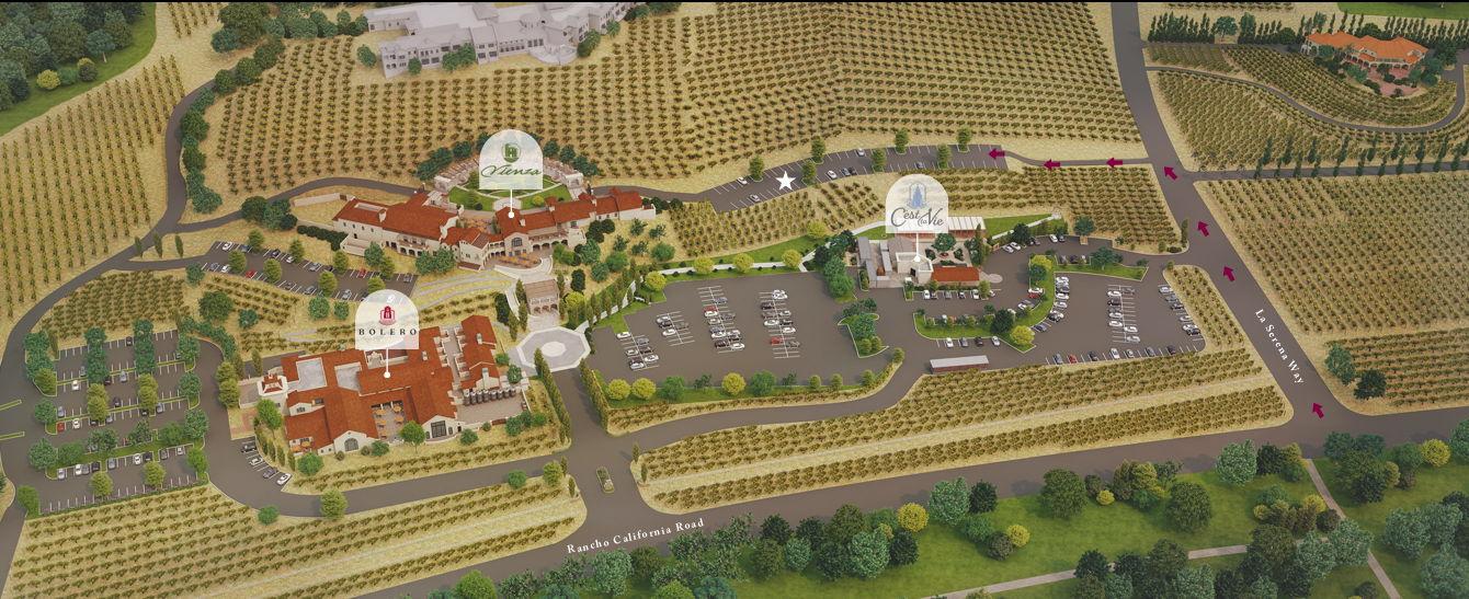 The Wedding Website of Amanda Christine Danesteh and Christian R Janke