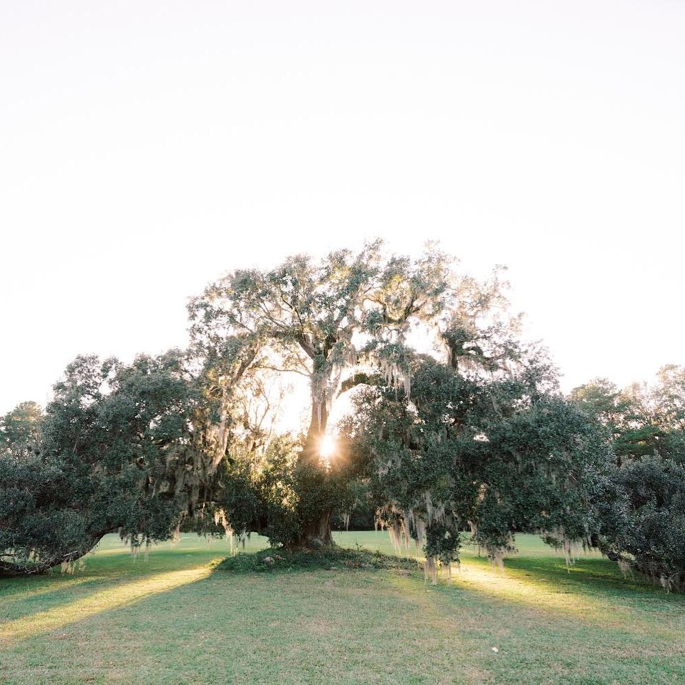 The Wedding Website of Krista Nauseda and AJ Olszewski