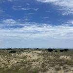 Shackleford Banks Shelling & Wild Horse Expedition