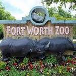 Fort Worth Zoo