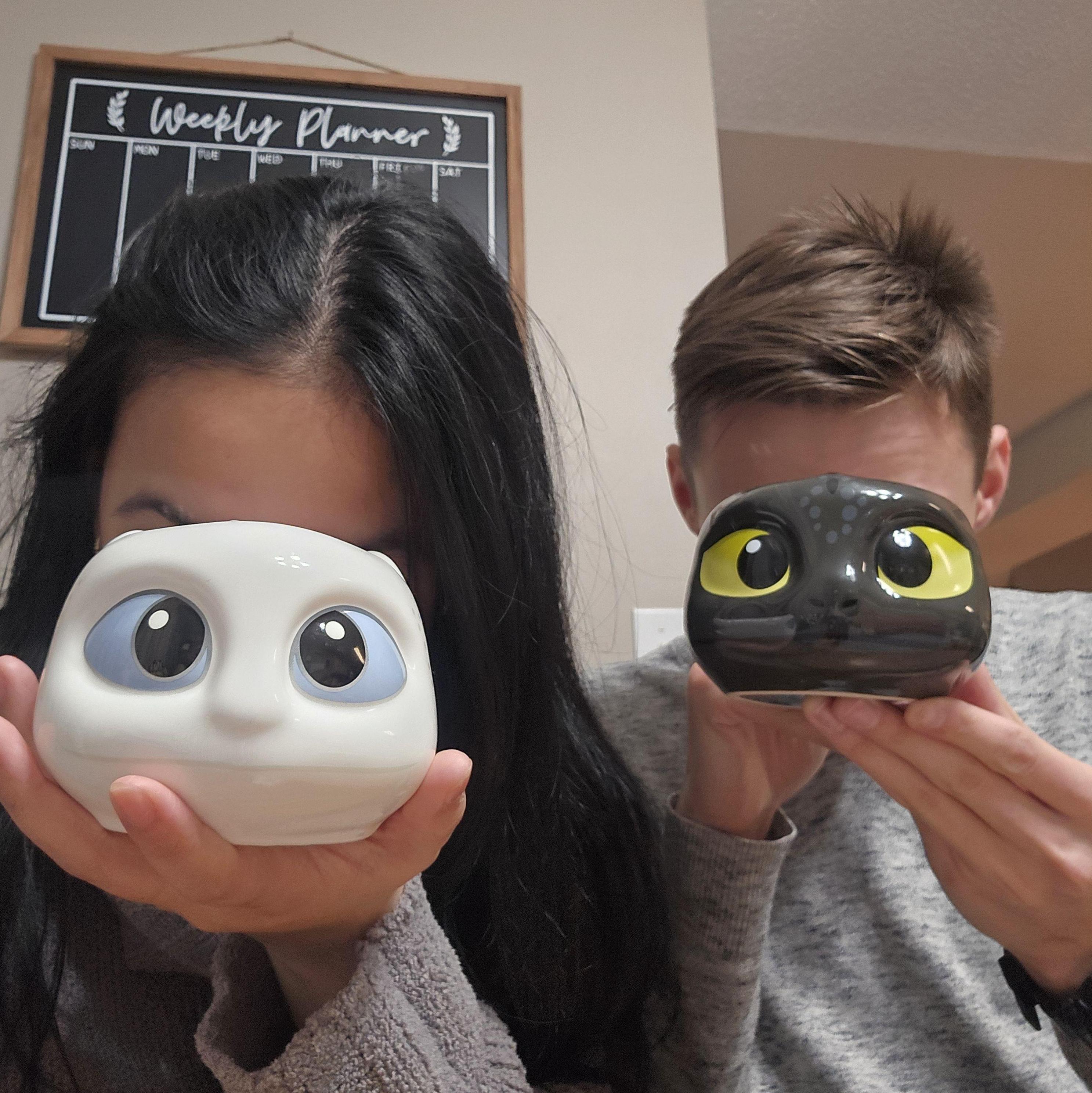 The ol' "Toothless" & "Light Fury" core. We just have a love for the characters.