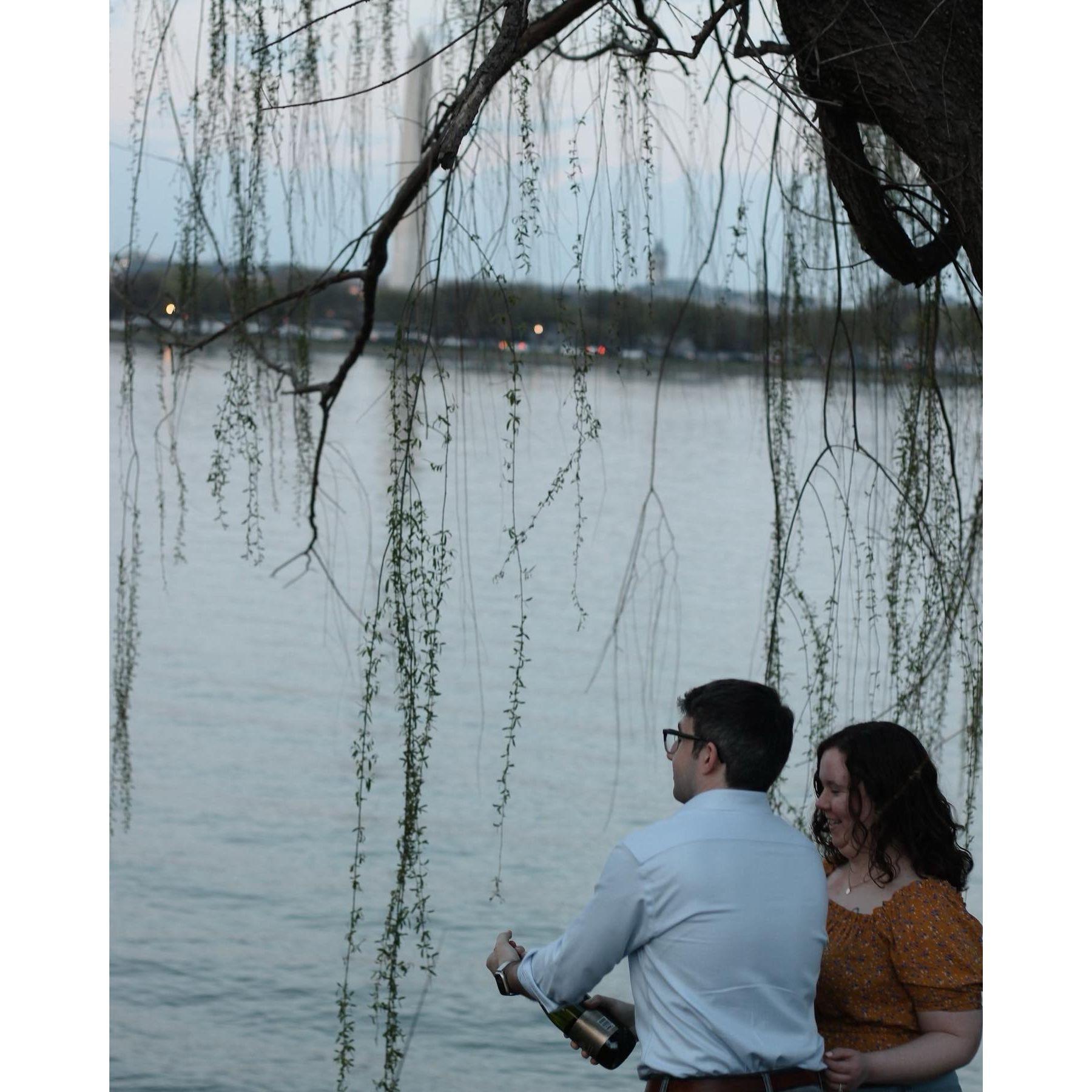 The day we got engaged at Ladybird Johnson Park!