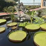 City Park