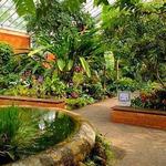 Matthaei Botanical Gardens