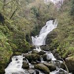 Killarney National Park