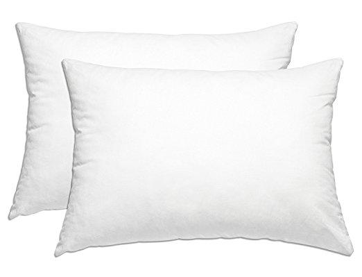 Smart Home Bedding Super Plush Pillow Dust Mite Resistant Down Alternative (Queen/Standard, 2 Pack)