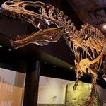 Houston Museum of Natural Science