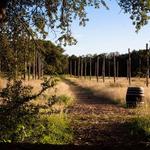 Jester King -- Brewery, Kitchen, Farm & Event Hall