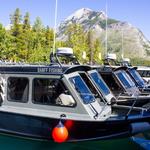Discover Banff Tours