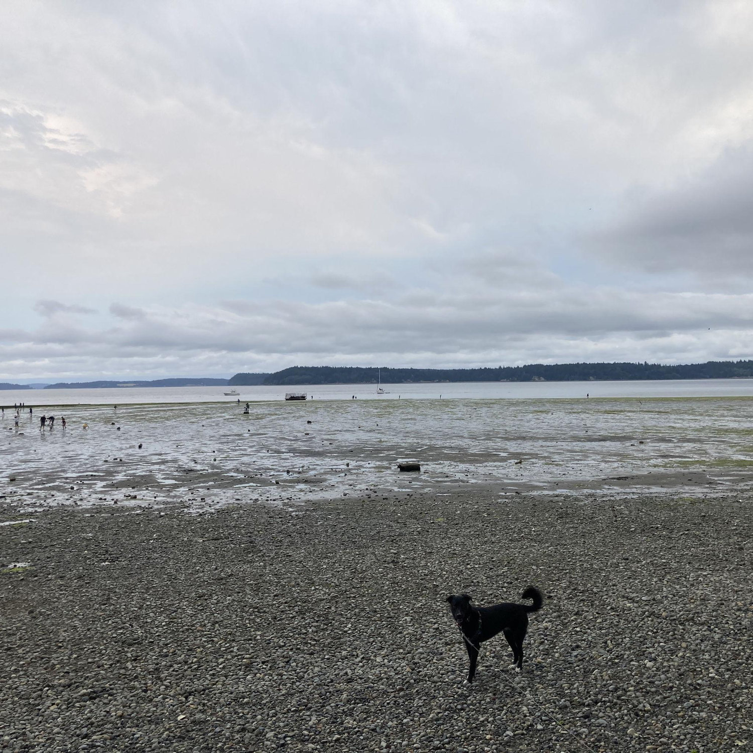 Tolmie State Park, Olympia, WA