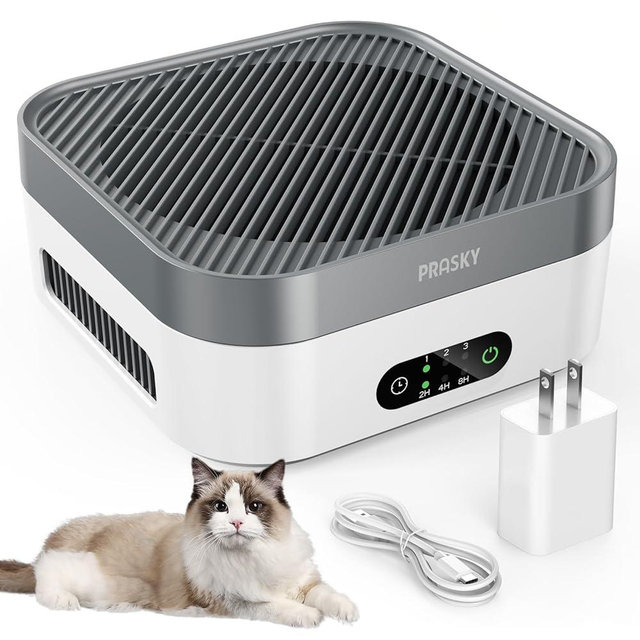 Air Purifiers for Home, H13 True HEPA Filter Captures Smoke Odor Pet Dander, Portable Quiet Car Air Purifier for RV/Desk/Bedroom/Office, Covers up to 600 Ft², Timer - 2 Filter