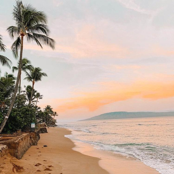 Our Hawaiian Honeymoon Fund