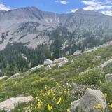 Hike: Alta-Brighton Lakes Loop