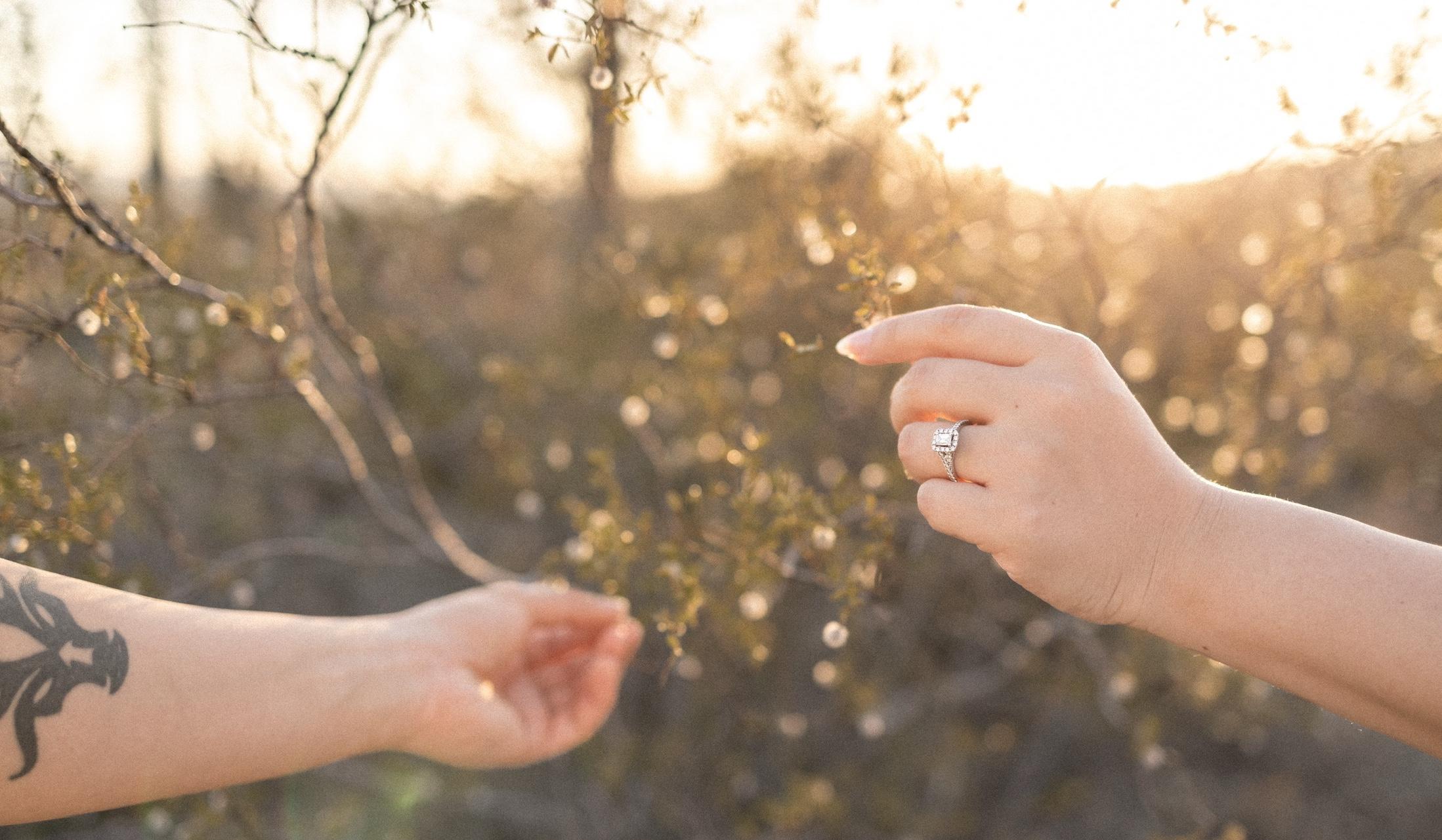 Hero Slideshow Image 4