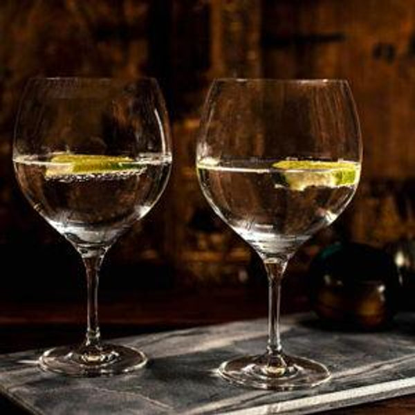 Copas gin tonic x2