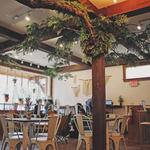 Canopy + the Roots Coffee