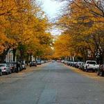 McIntire Historic District