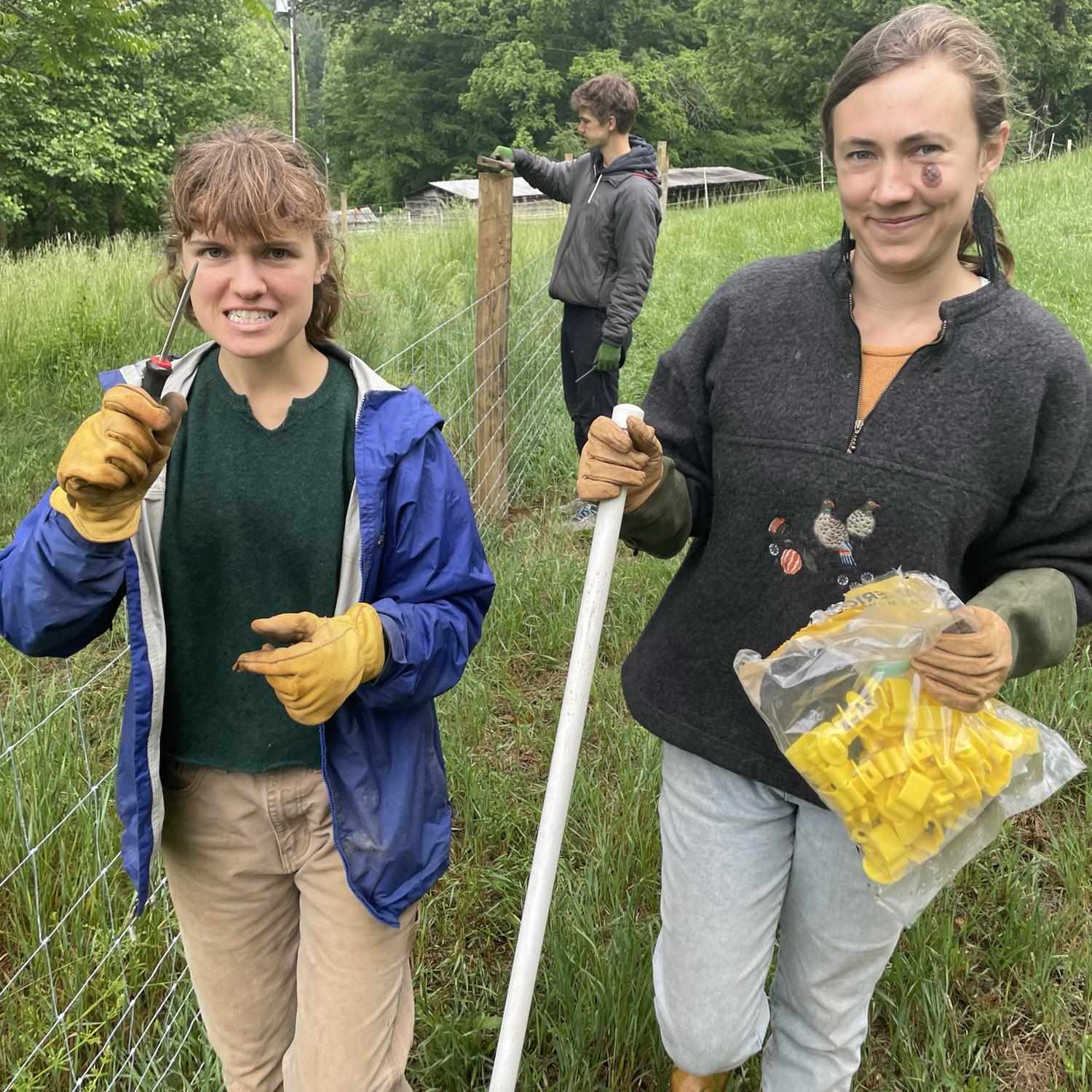 Helping Thomas put up the cow fence on our road