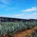 Tequila Express   Ruta del Tequila