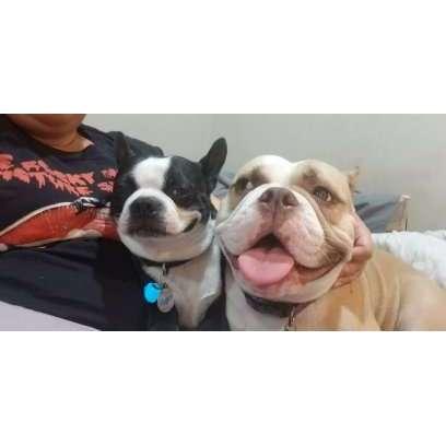 The first to approve of this relationship. If it didn't work for the dogs, it wouldn't have worked for us.