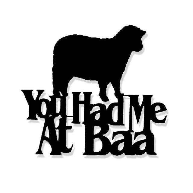Wall Word Art Decorative Wood Sign for Pet, Dog, Cat, Horse, Pig, Animal Lovers with Fun Sayings and Quotes - Real Wood - Made in USA - (You Had Me at Baa)