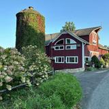 Hopkins Vineyard