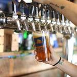 Sailfish Brewing Company