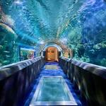 Discovery World's Reiman Aquarium