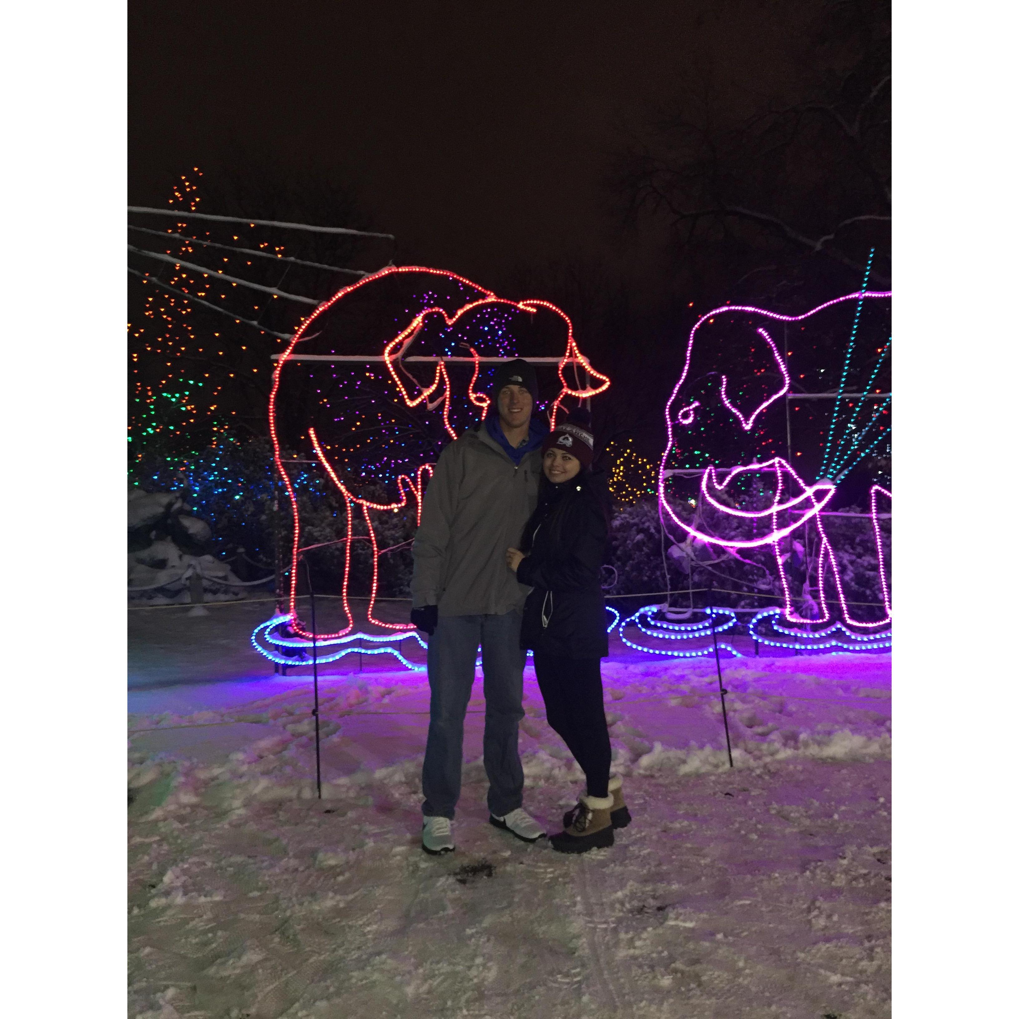 Our first trip to Denver Zoo Lights together