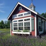 Princeton Lavender